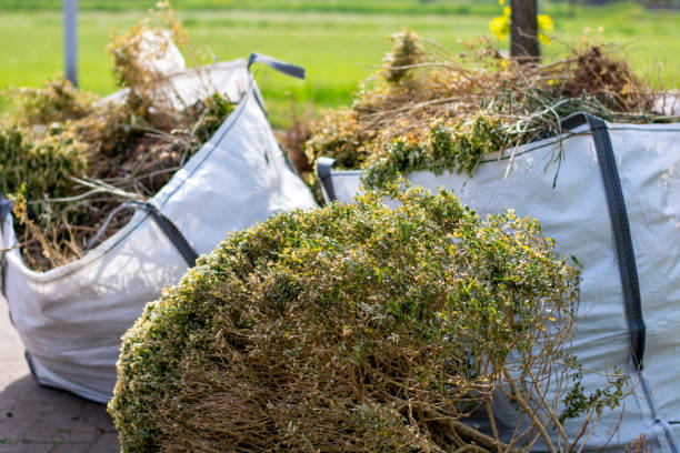 Best Scrap Metal Removal  in Raymond, MS